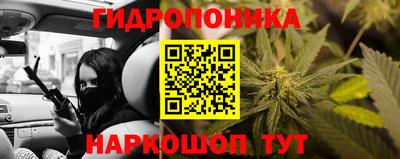 ПСИЛОЦИБИНОВЫЕ ГРИБЫ Владимир