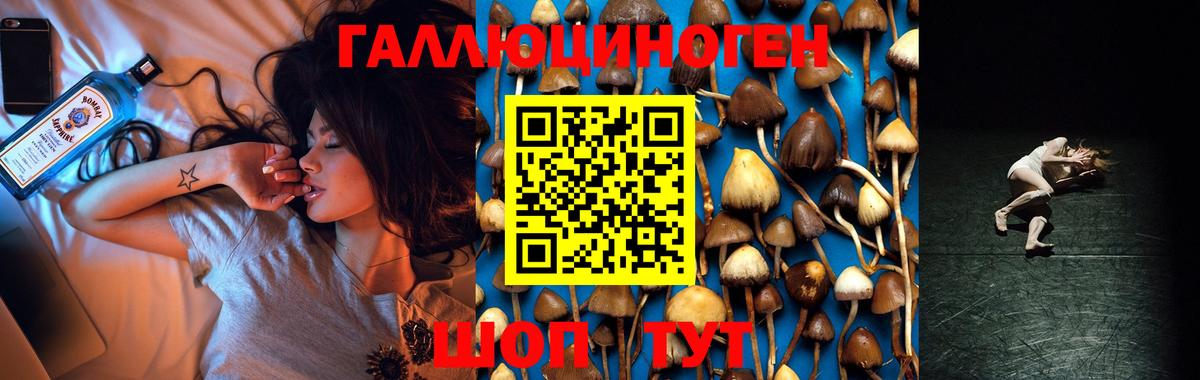 Саки  Псилоцибиновые грибы ЛСД  Вход с VPN  Псилоцибиновые грибы мухоморы 